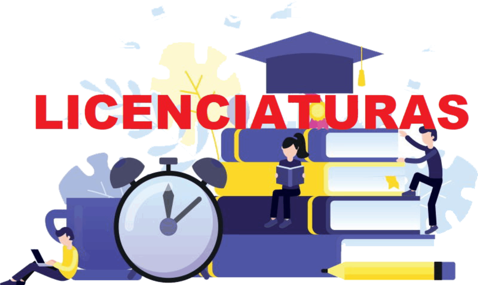 Descripción de la imagen